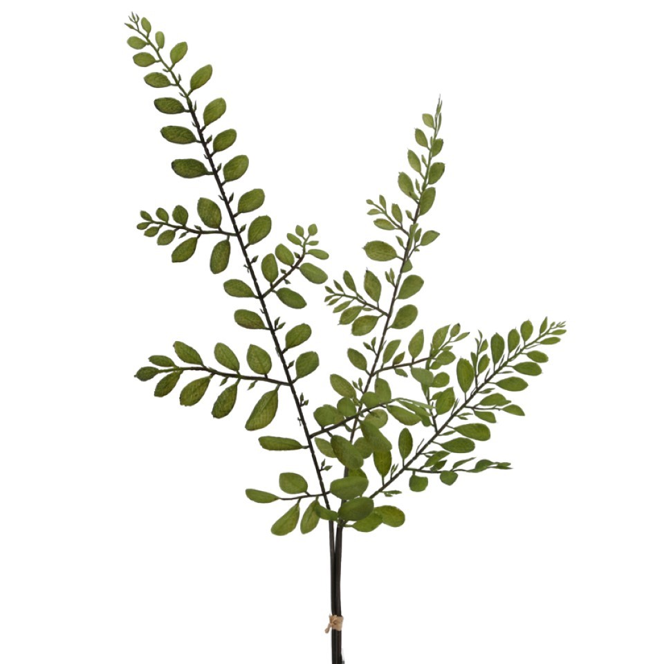 Blätterzweig 3er-Bund grün H67cm NETTO