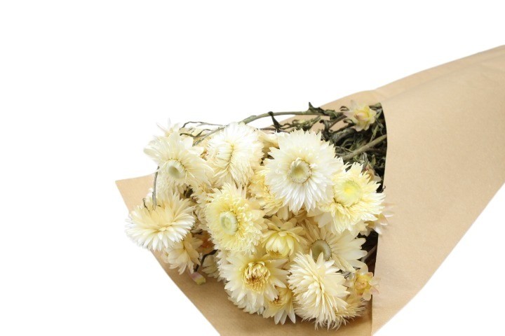 Helichrysum natur-weiss 85gr.