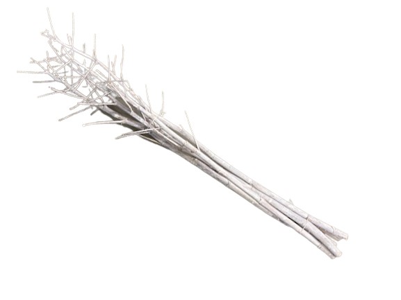 Fenchel m. Ästen white-washed 140-160cm