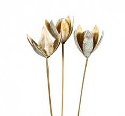 Wildlilie white washed gestielt