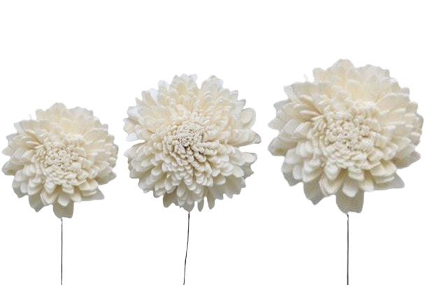 Zinie Sola am Draht 6+8+10cm sortiert je 12St. weiß