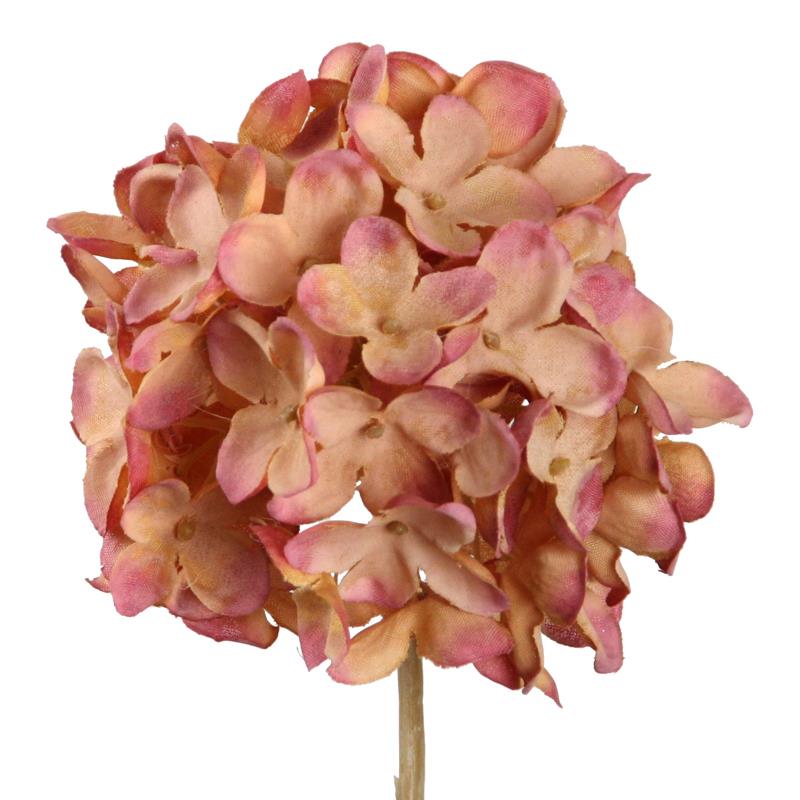 Hortensie Dry 62 cm rosa