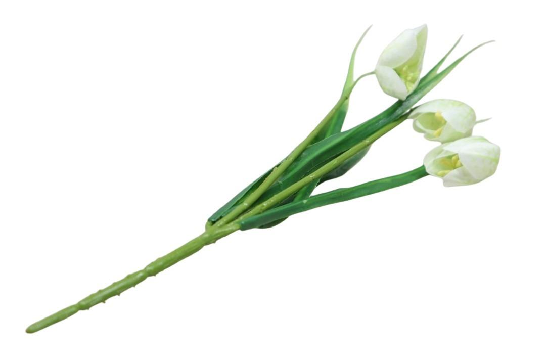 Fritillaria Schachblume Spray x3 Blüten crème-weiß 29 cm