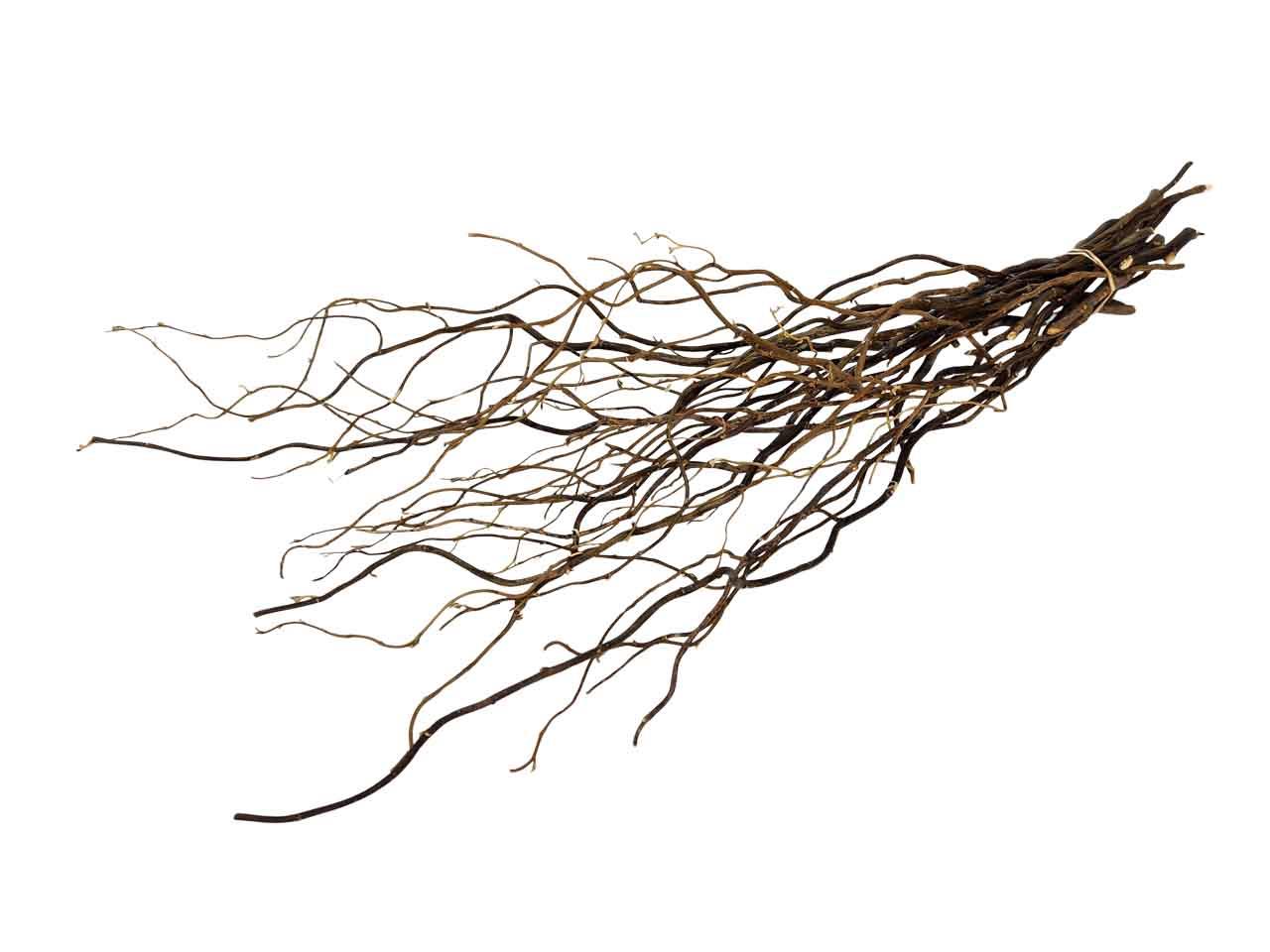 Curly Willow 50-60cm 75gr. natur