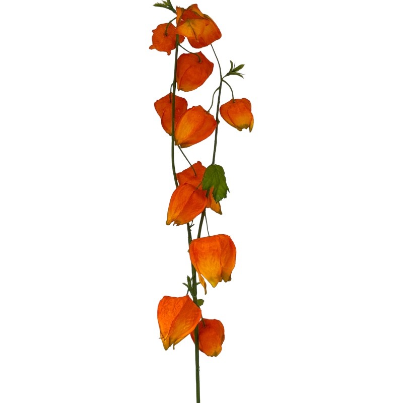 Laternenzweig (Physalis) orange H90cm
