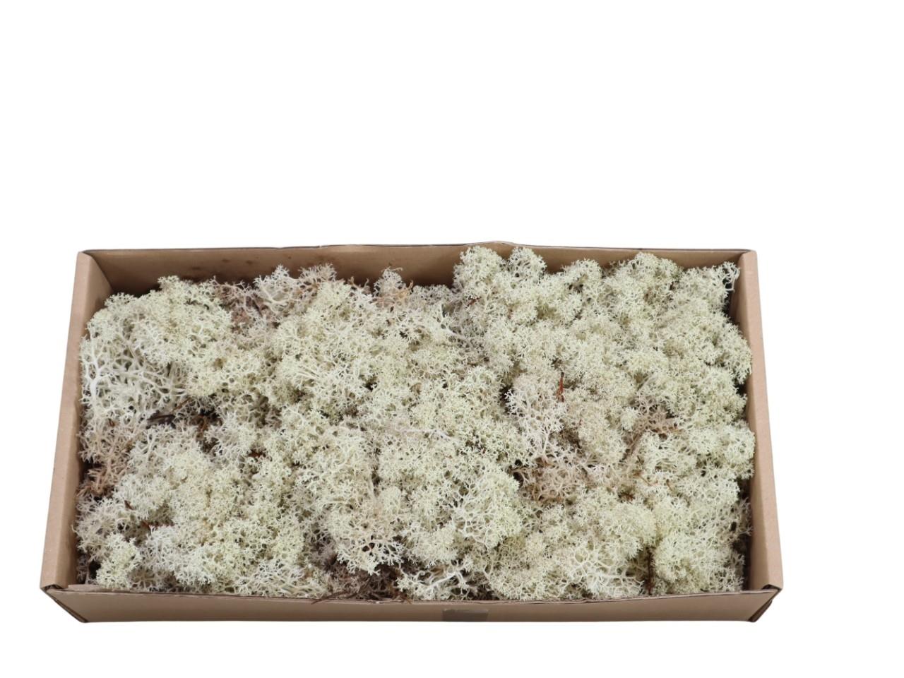 Islandmoos-Finland 500gr. natur