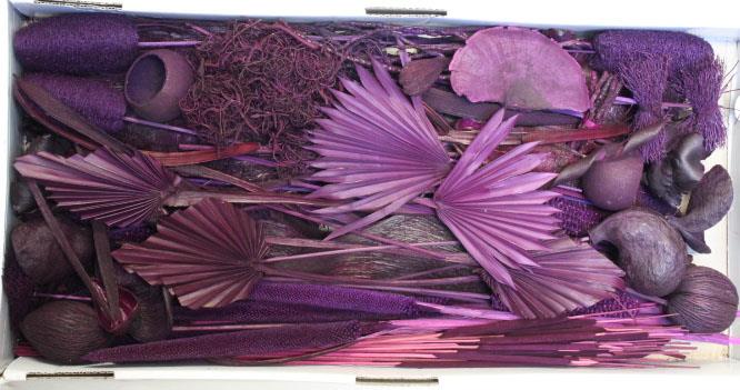 Exotensortiment indisch brombeer groß 100 Stück