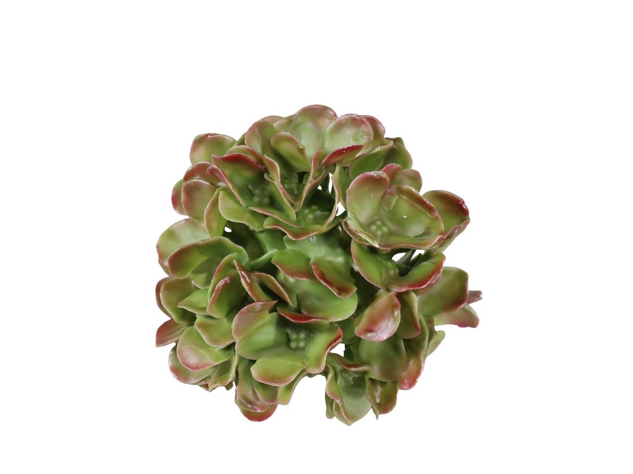 Hortensieblüte Wachs grün-rot D14cm