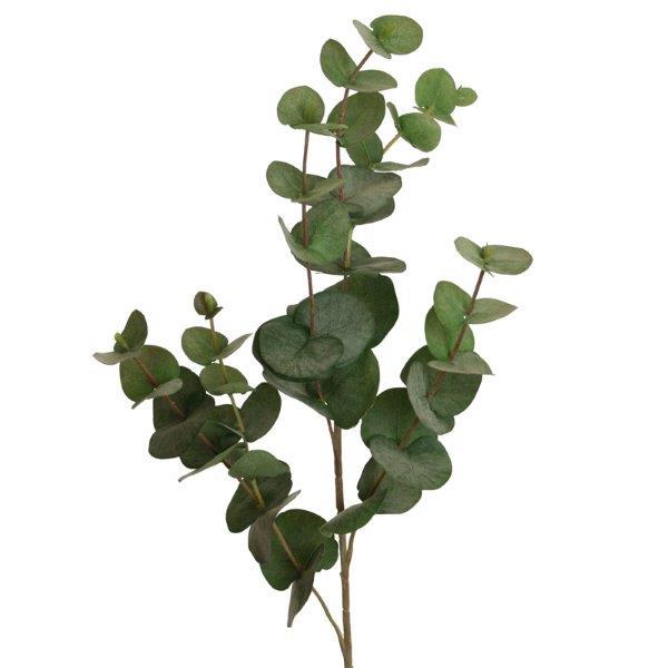 Eukalyptus 85 cm grün