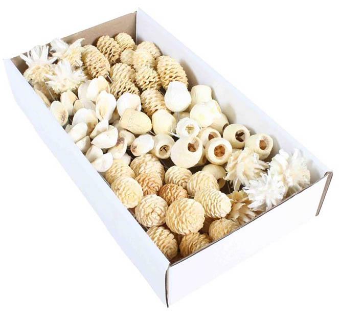 Leucodendron Sortiment am Draht gebleicht