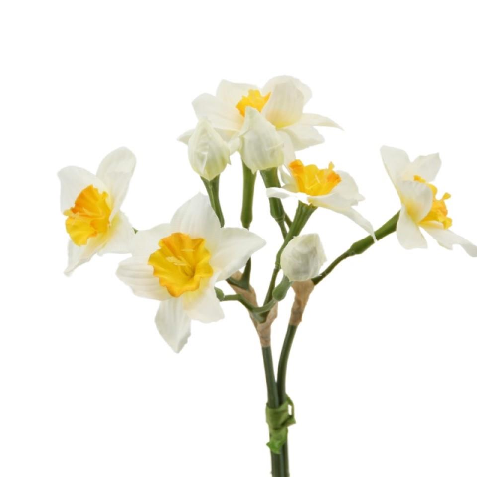 Narzissenbund x 3,  30 cm weiss