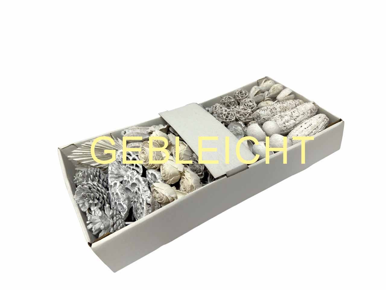 Exotensortiment indisch gestielt klein gebleicht
