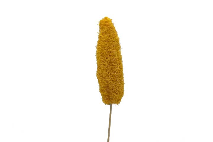 Luffa D4-6 H10-15cm gestielt gelb