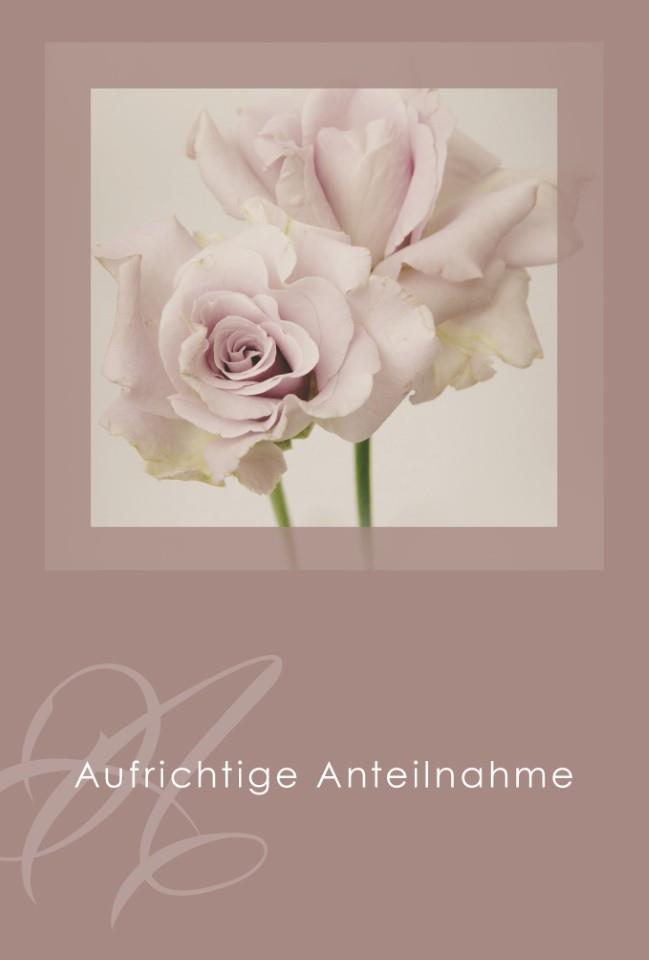 Umschlagkarten Trauer Aufrichtige Anteilnahme 11,5x17 cm Umschlagkarten Trauer Aufrichtige Anteilnahme 11,5x17 cm