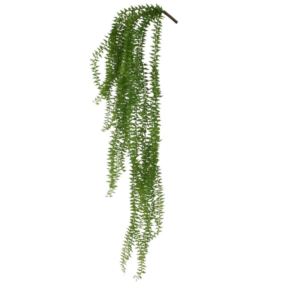 Lycopodiumhänger grün L85cm Lycopodiumhänger grün L85cm