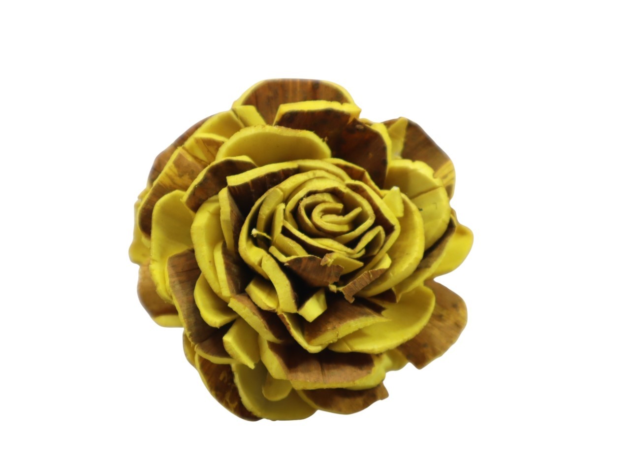 Rose Sola am Draht 8cm sonnengelb