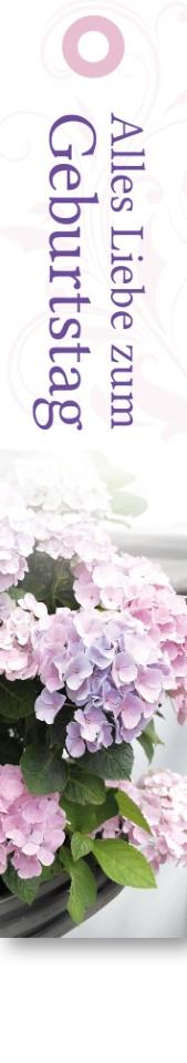 Geschenkkärtchen Alles Liebe zum Geburtstag 3x15 cm