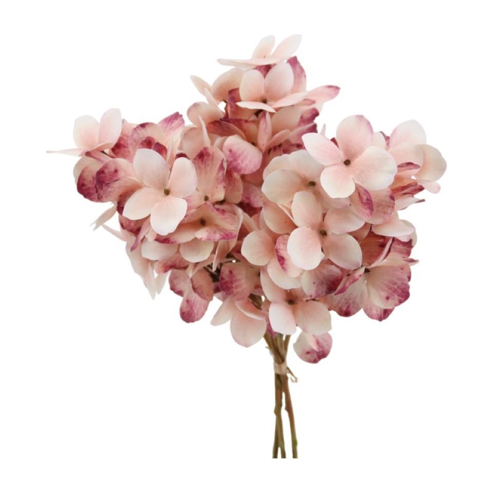 Rispenhortensie 3fach purple-pink H30cm Rispenhortensie 3fach purple-pink H30cm