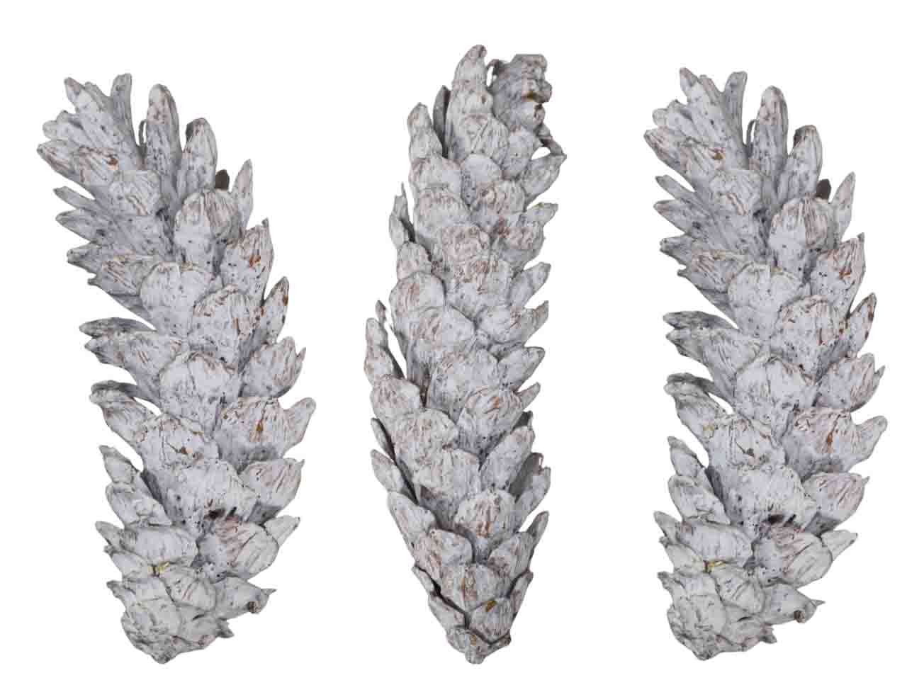 Zapfen Strobus mixed L10-15/15-20cm white washed
