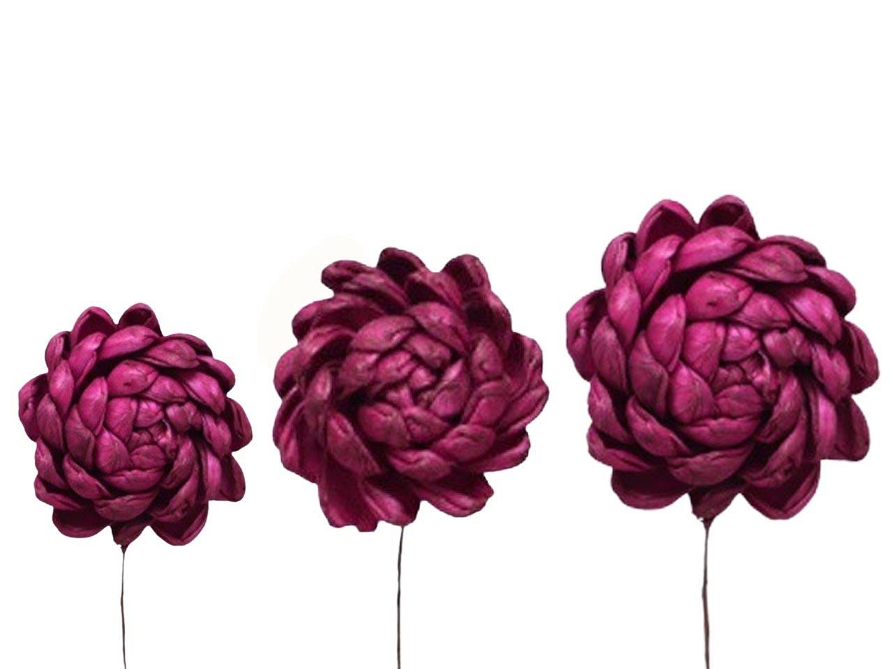 Dahlie Sola am Draht 6+8+10cm sortiert je 12St. brombeer