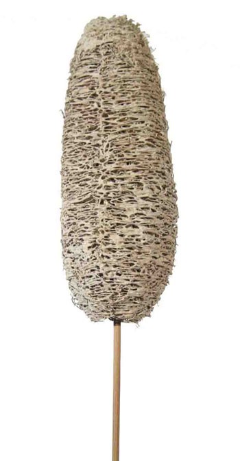 Luffa D4-6 H10-15cm gestielt white washed