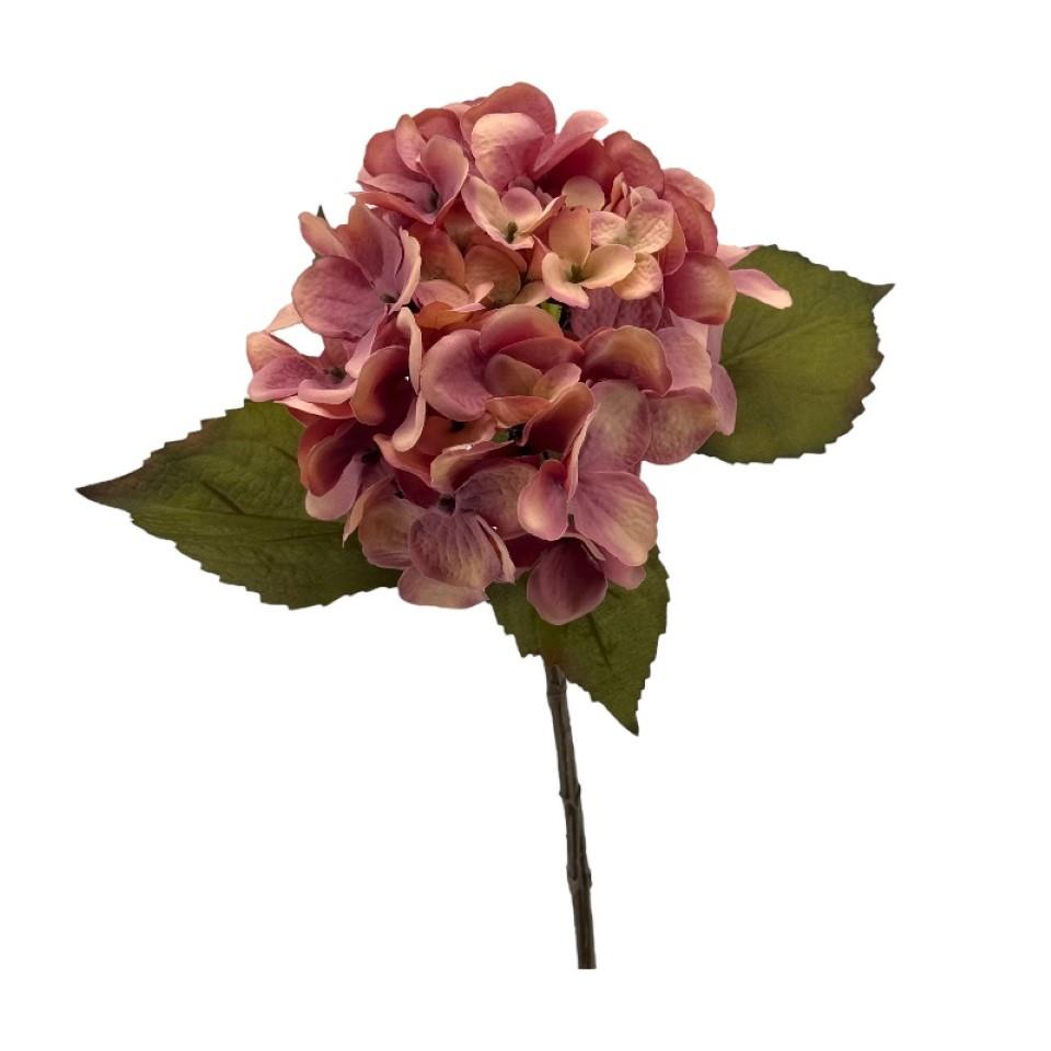 Hortensie "Dry Look" altrosa H54cm Hortensie "Dry Look" altrosa H54cm