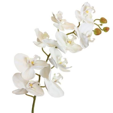 Orchidee Phalaenopsis 100cm weiss