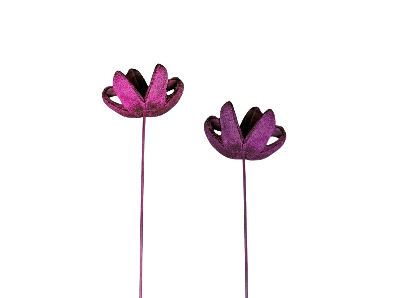 Bullet Blume gestielt D8H4L35cm sortiert erika-brombeer