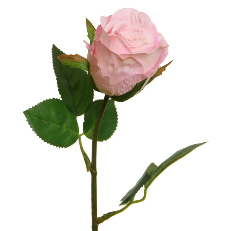 Rosenpick halboffen rosa L46cm