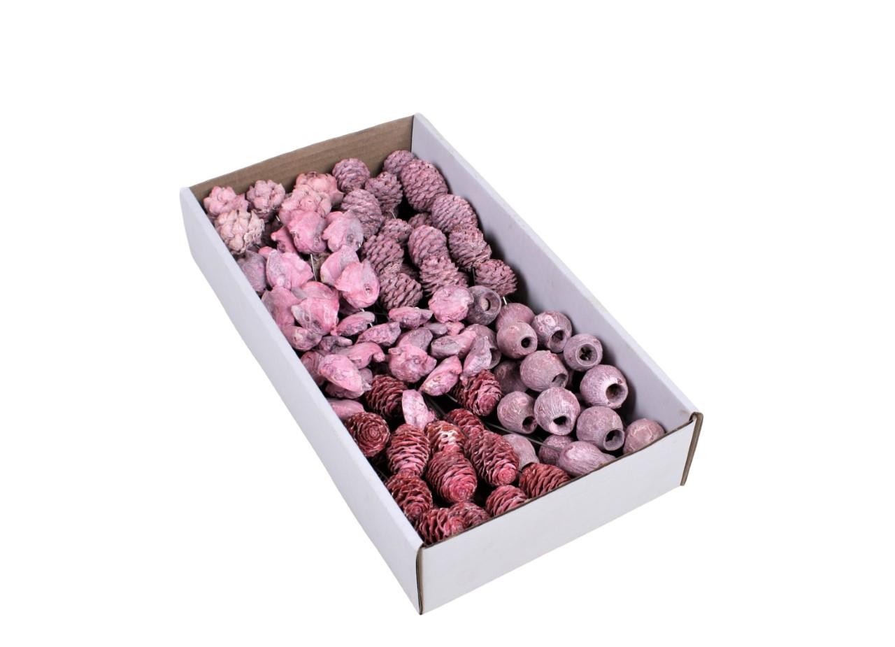 Leucodendron Sortiment am Draht altrosa frosted