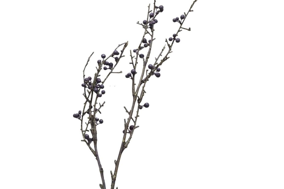 Beerenzweig 60 cm blau NETTO