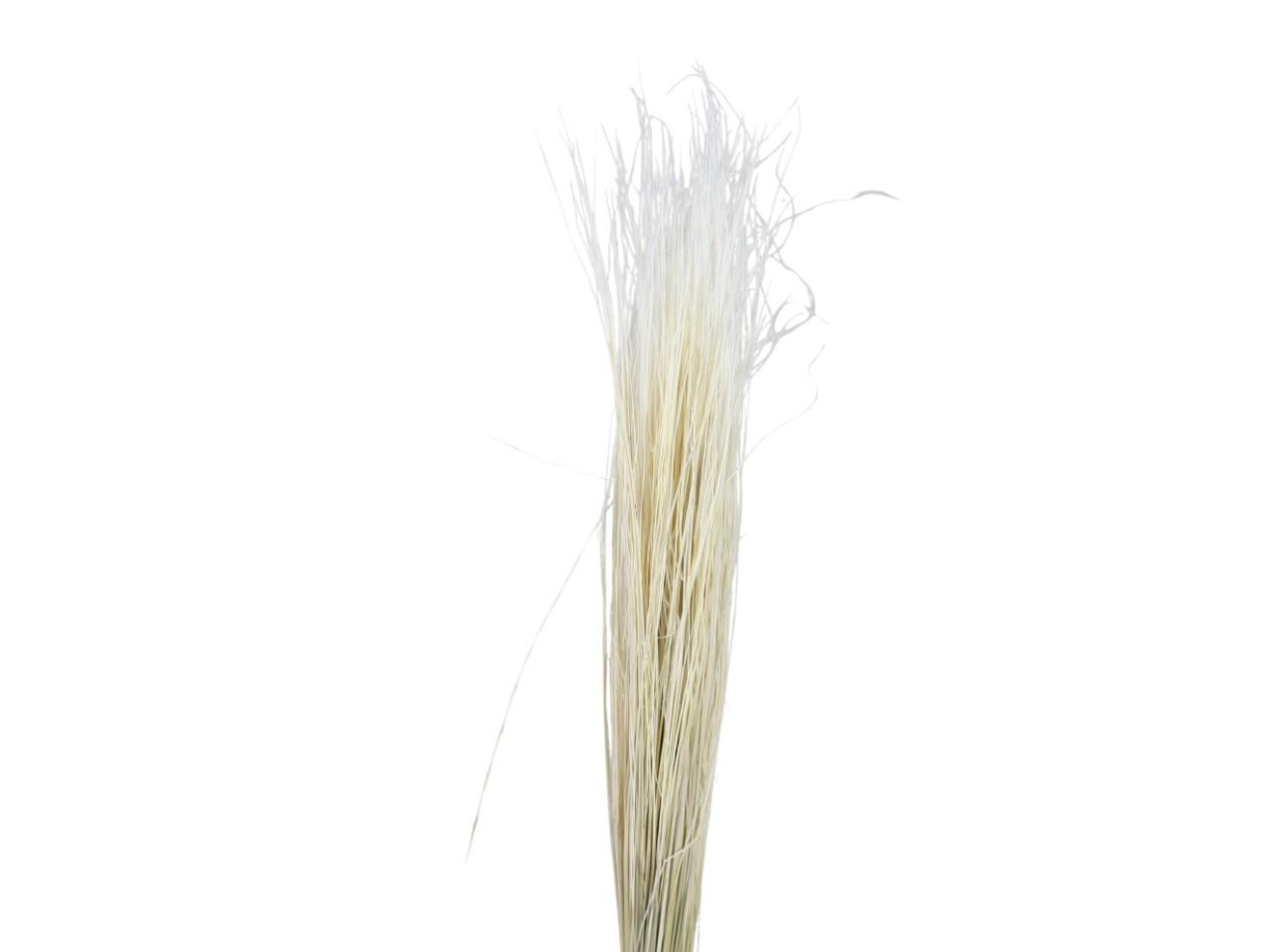Stypa Pennata mit Stroh weiß 01 50gr.