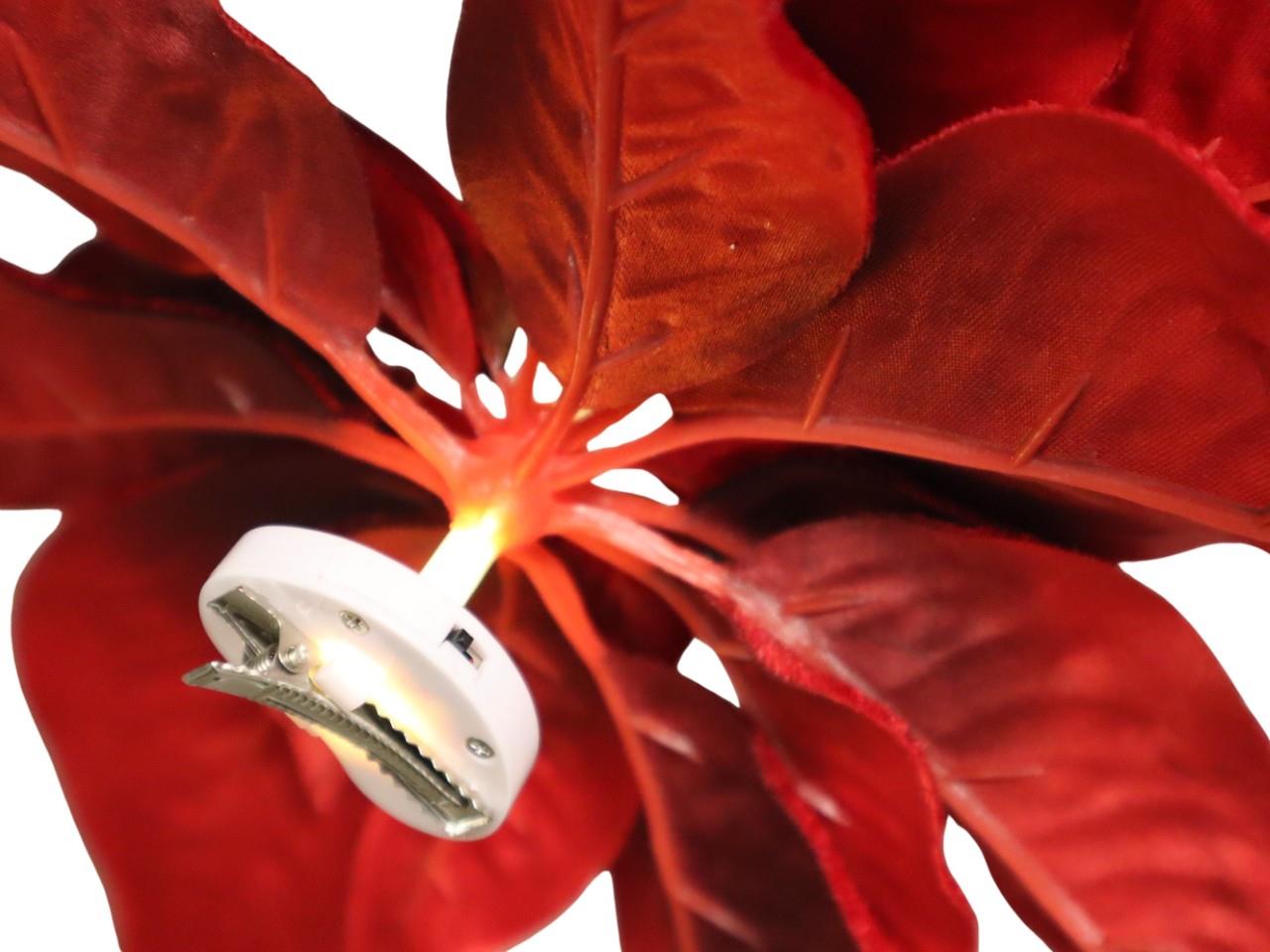 Poinsettia Blüte rot m. Clip und LED-Beleuchtung D25cm Poinsettia Blüte rot m. Clip und LED-Beleuchtung D25cm
