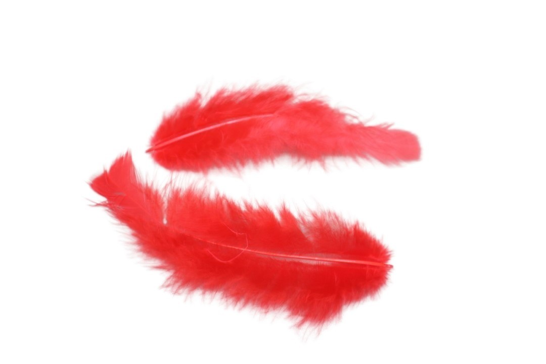 Federn 20 gr. rot