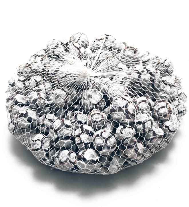 Zapfen Pinus Cypressus 2 kg white washed