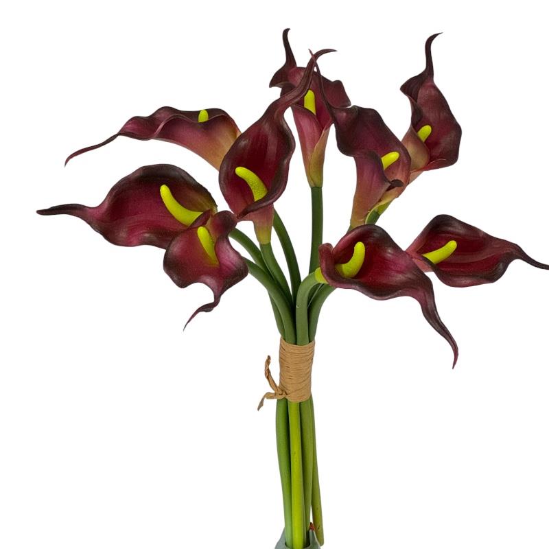 Callabund 9Blüten burgund-purple H28cm