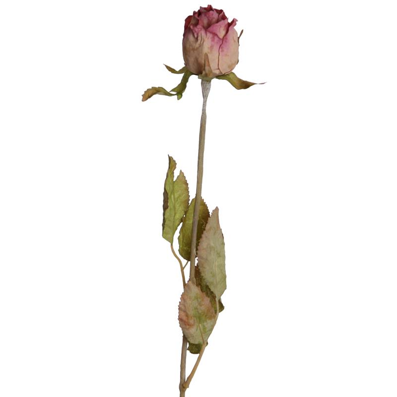 Rosenknospe Dry 53 cm rosa