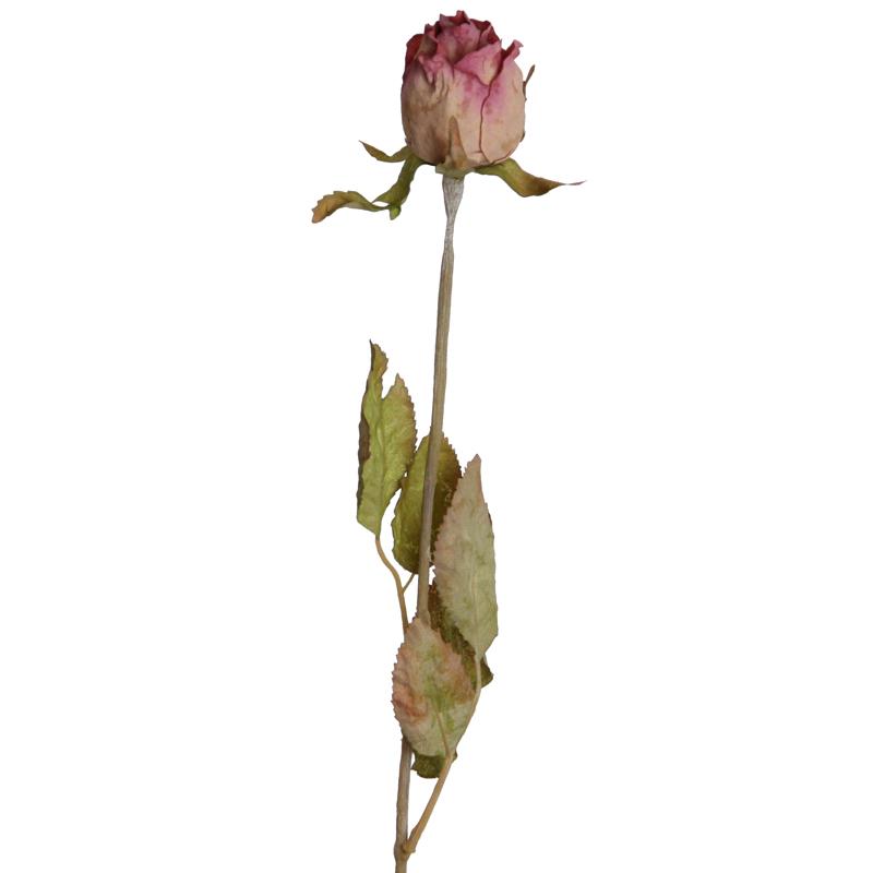 Rosenknospe Dry 53 cm rosa NETTO