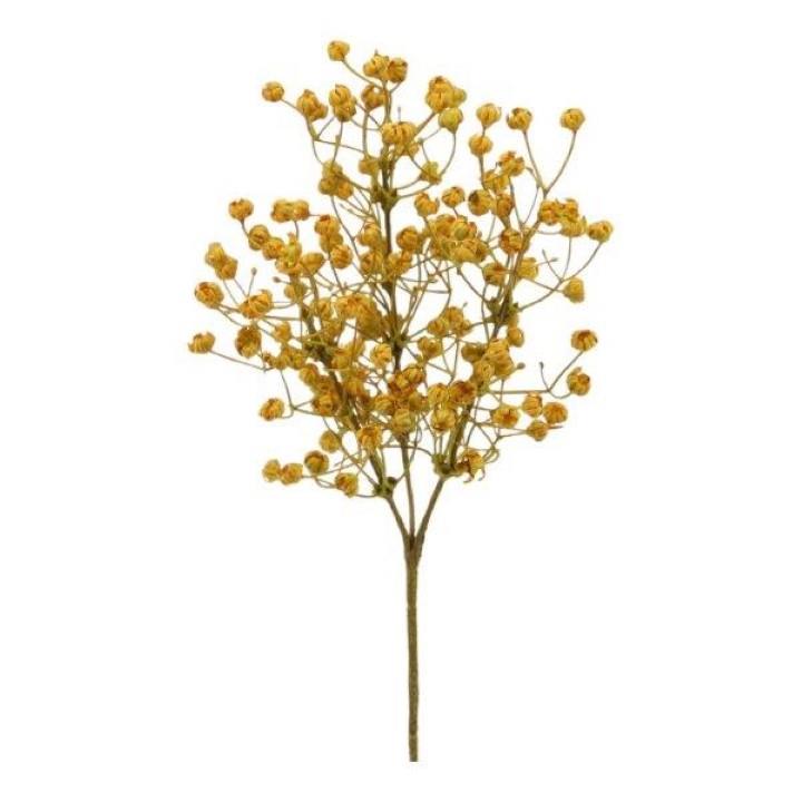 Gypsophila Dry look gelb L43cm