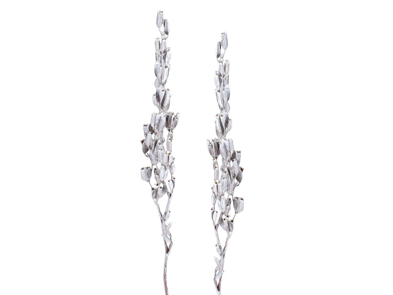 Aristea Tyrisiflora L50-60cm white washed