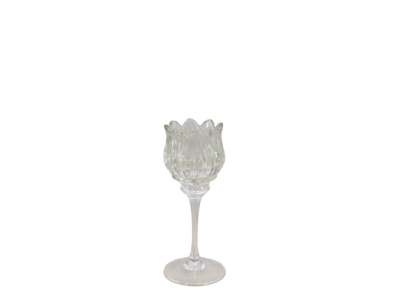 Teelichthalter Tulpe Glas klar-matt H14cm