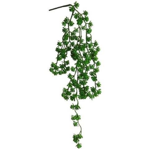 Sukkulente hängend 64 cm grün