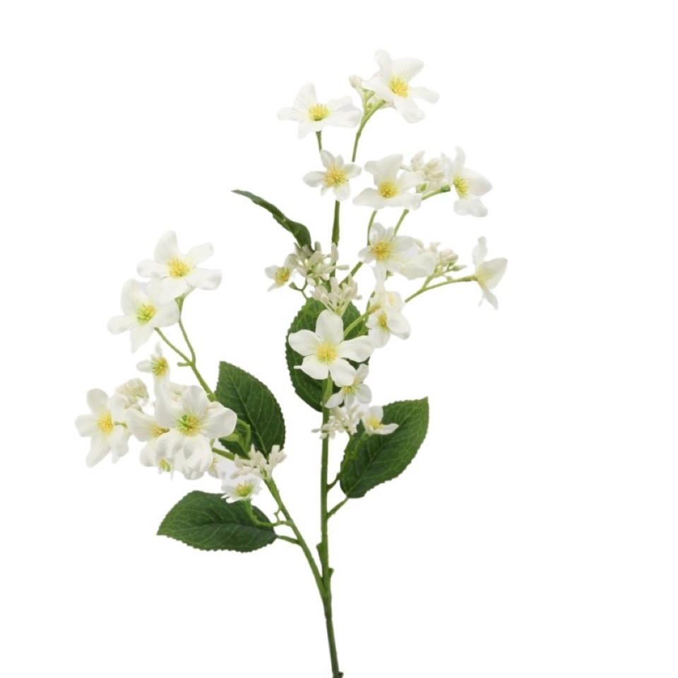 Verniciazweig 63 cm cream Verniciazweig 63 cm cream