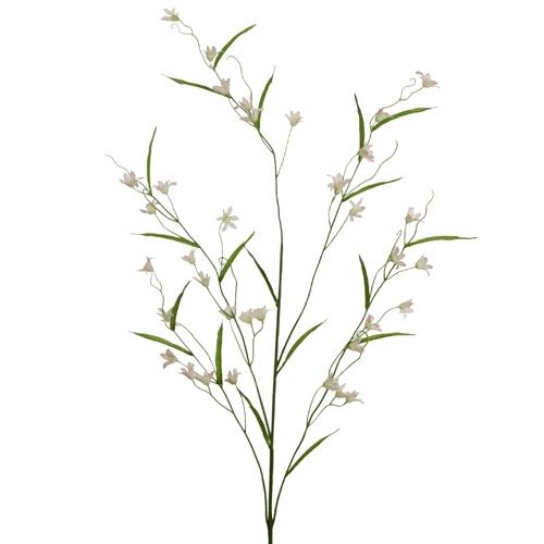 Glockenblume 78cm creme-rosa NETTO