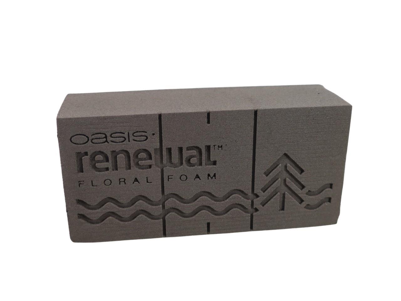 OASIS RENEWAL Frischblumensteckschaum NETTO OASIS RENEWAL Frischblumensteckschaum NETTO
