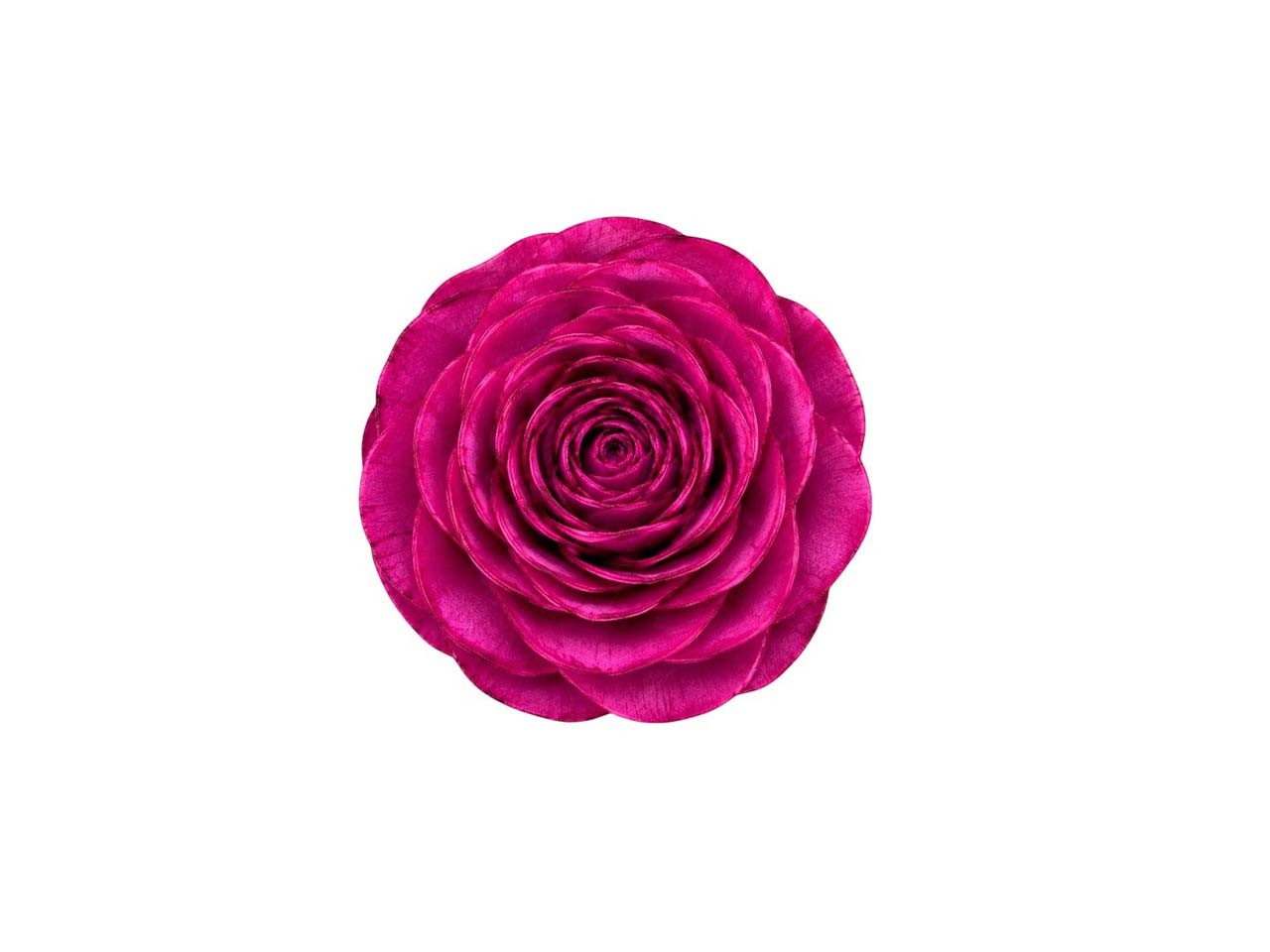 Rose Sola am Draht D6cm magenta