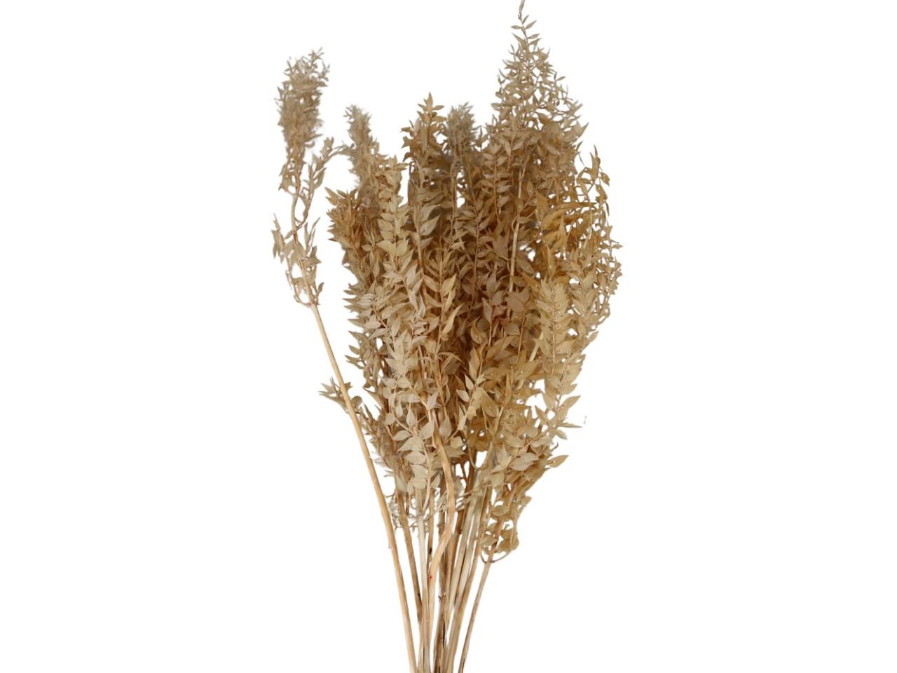 Ruskus 300 gr. sand34