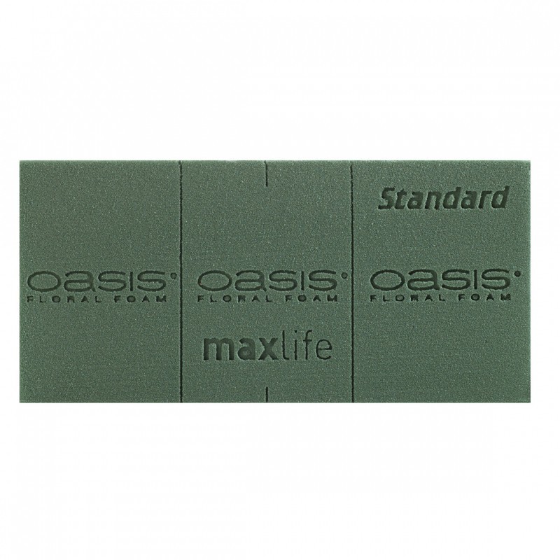 OASIS STANDARD Frischblumensteckschaum  NETTO