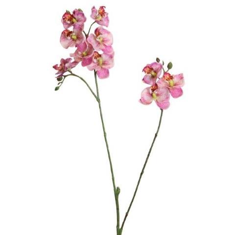 Phalaenopsis 63cm rosa x2