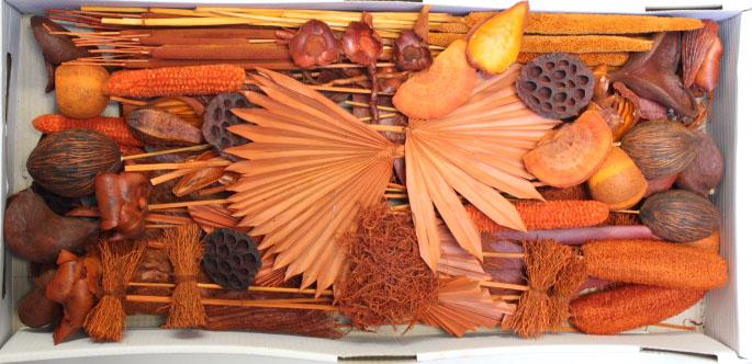 Exotensortiment indisch orange groß 100 Stück